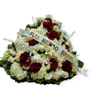 AVANICO FUNEBRE 2