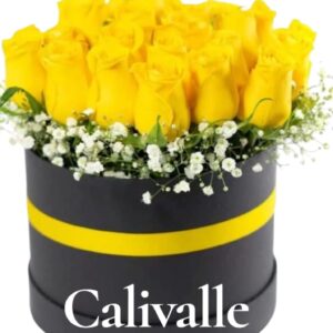 CAJA REDONDA ROSA AMARILLA