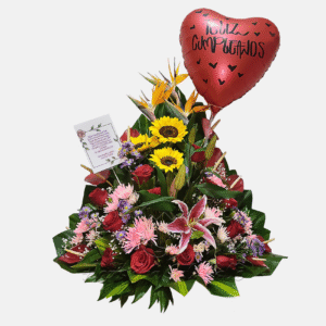 Celebración Tropical