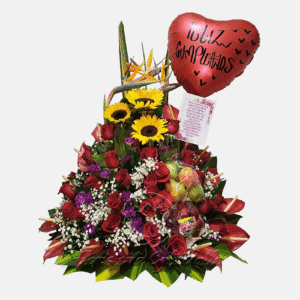 Día de Festejo Mayor